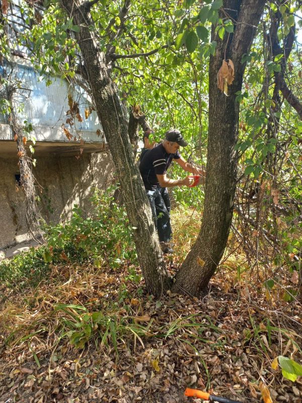 ���� ������: �������, 12 ��������, � ������ ���������� ����������� "������ �������" �������� ������������ ��� "�����������" ���� ��������� ������ �� ������� ������� � ������ ������ ������ ������ ���� �22 �� ��.������