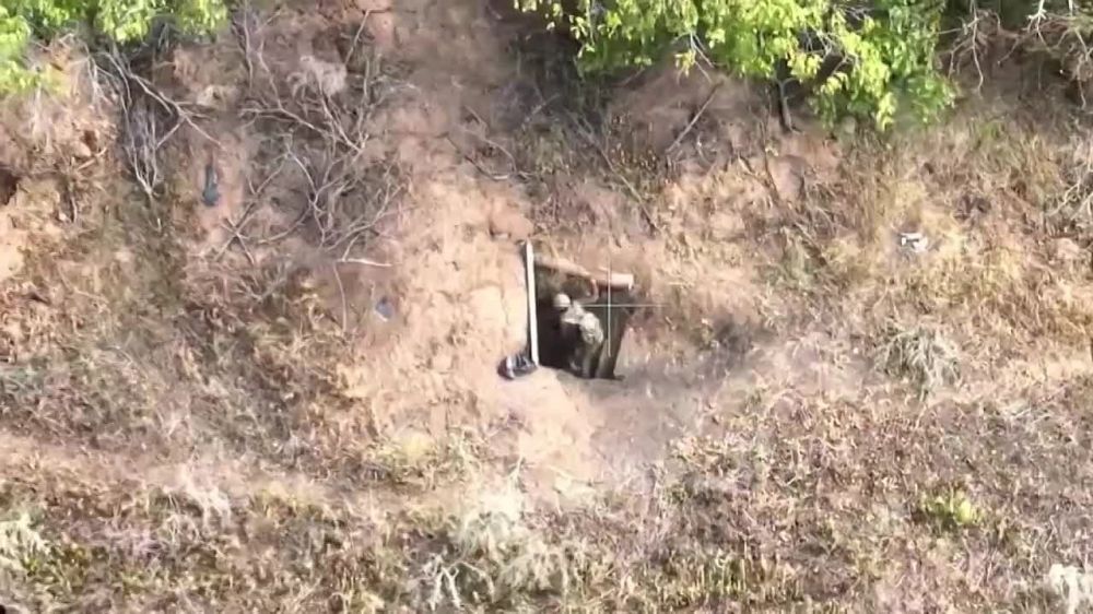 Евгений Поддубный: Армия России шаг за шагом освобождает Донбасс от неонацистов