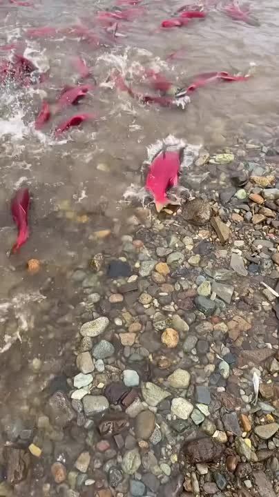 ����� �� ������ ������ ���������� �����: ������� ���� ������������� � ���������� ���� � �������, ����� ���� ��� ��� ��������