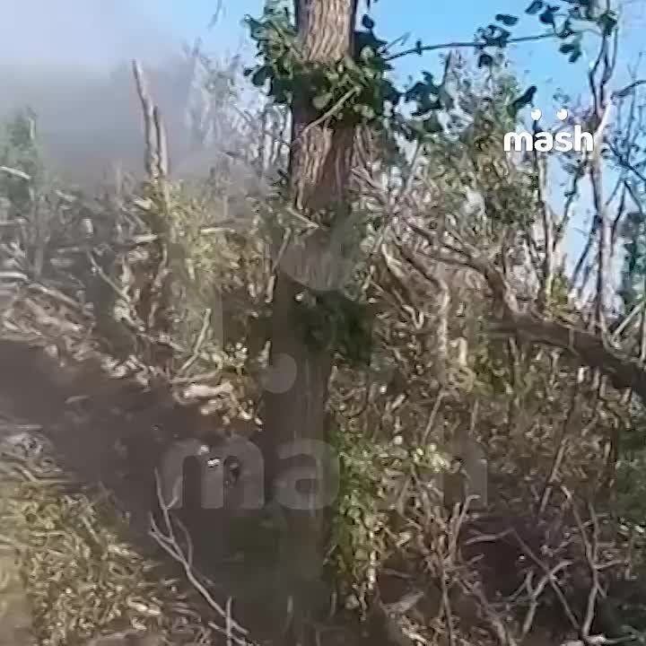 �� �� ���������� ��� ��� ��������� ������ � ������� ������� � ����� ����������, ��� ������� � ������� ���