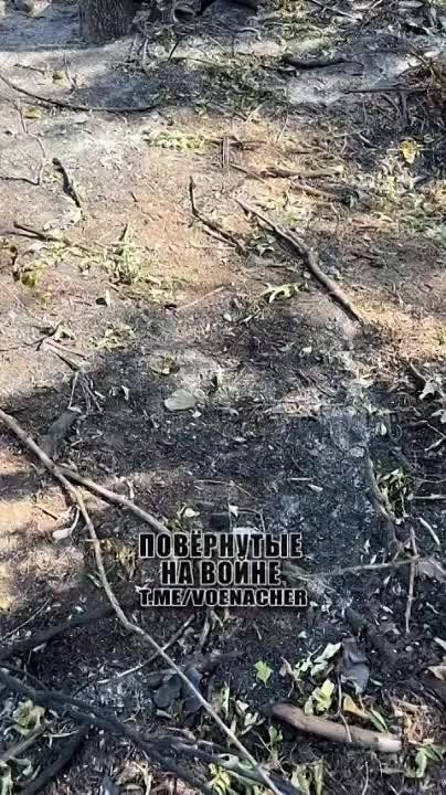 ����� �� ������� ����������