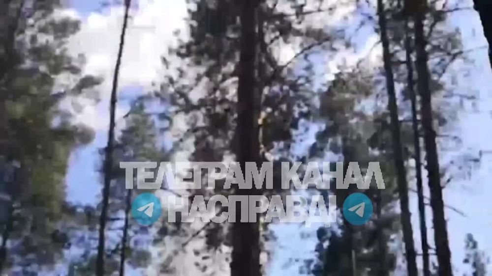 ����� �� �� ���������� ���� ��������� � �������� �������� ����������