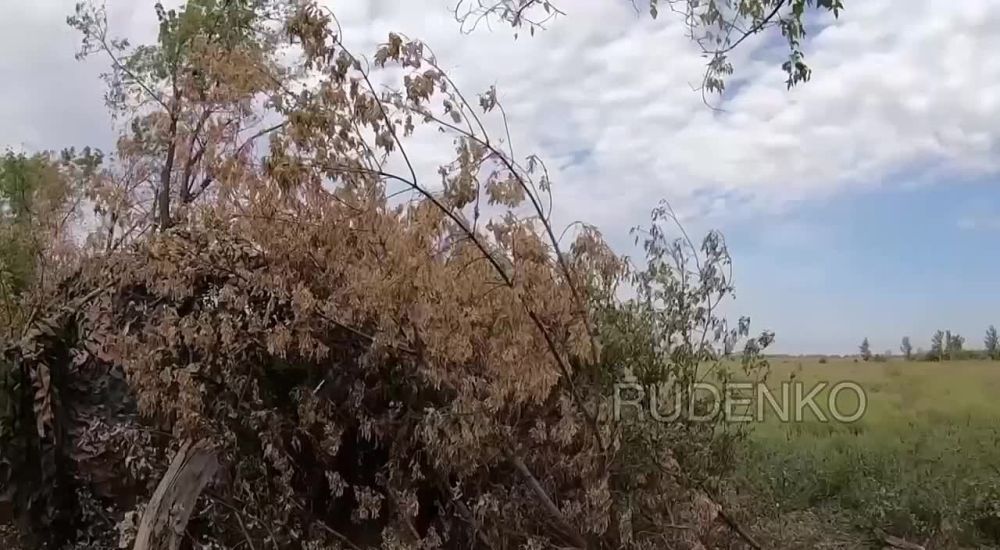 ������ �������: ������ 152-�� ������������ ������ ��������-�� �������������� ������� ������ ����������� ����� � ���� ��������������� ������ ��������� ���������� �������������� ��������� � ������ ��� �� �������� �����������