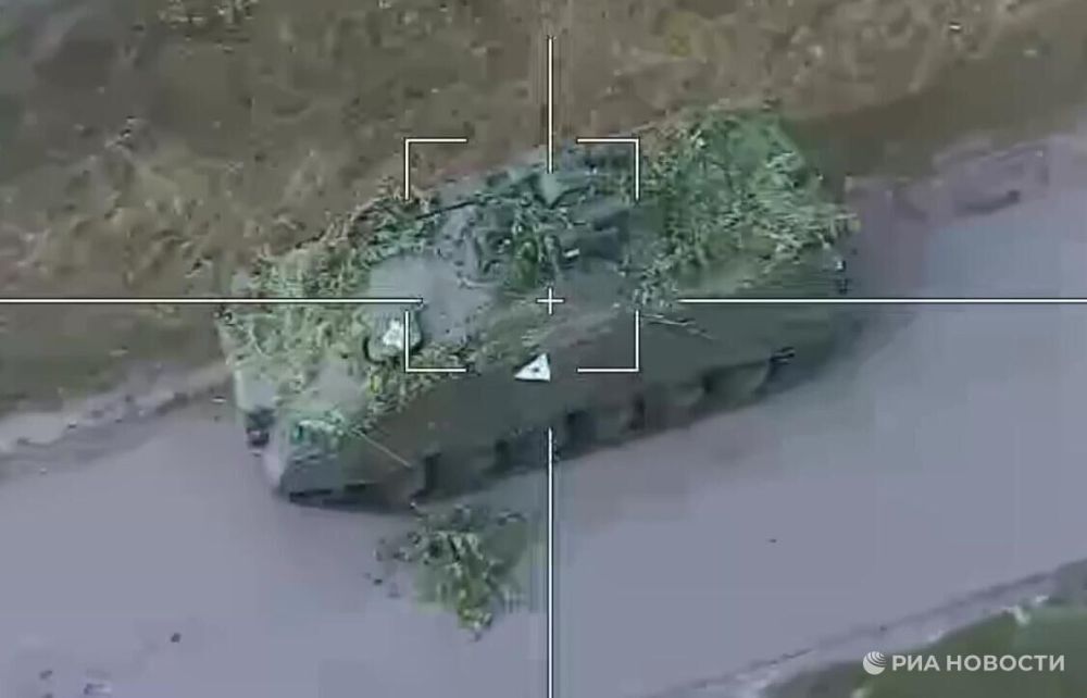 ���������� ������� �������� ������� ���������� ������������ ��� Bradley