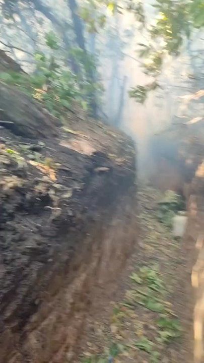 ������ �������: ���������� ������� �� ����-�������� ����������� ����� ��������������� ����� �� ��