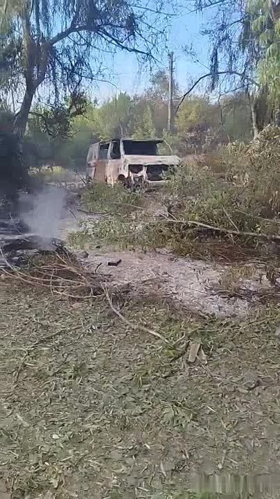 ������ �������: ������� ������������� ����������� �������� �������-��������������� ����� �� �� �� ������ � �� � ���������