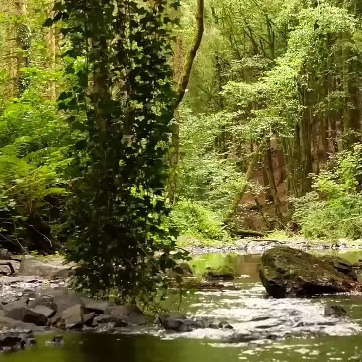 ������� �������: ������� � ���������� ������� ��������� ���������������� ��������