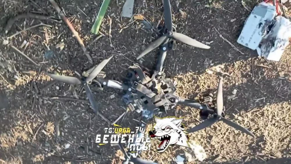 ������ �������: ����������� ����������� �����-����������� "�����" ���������� �����