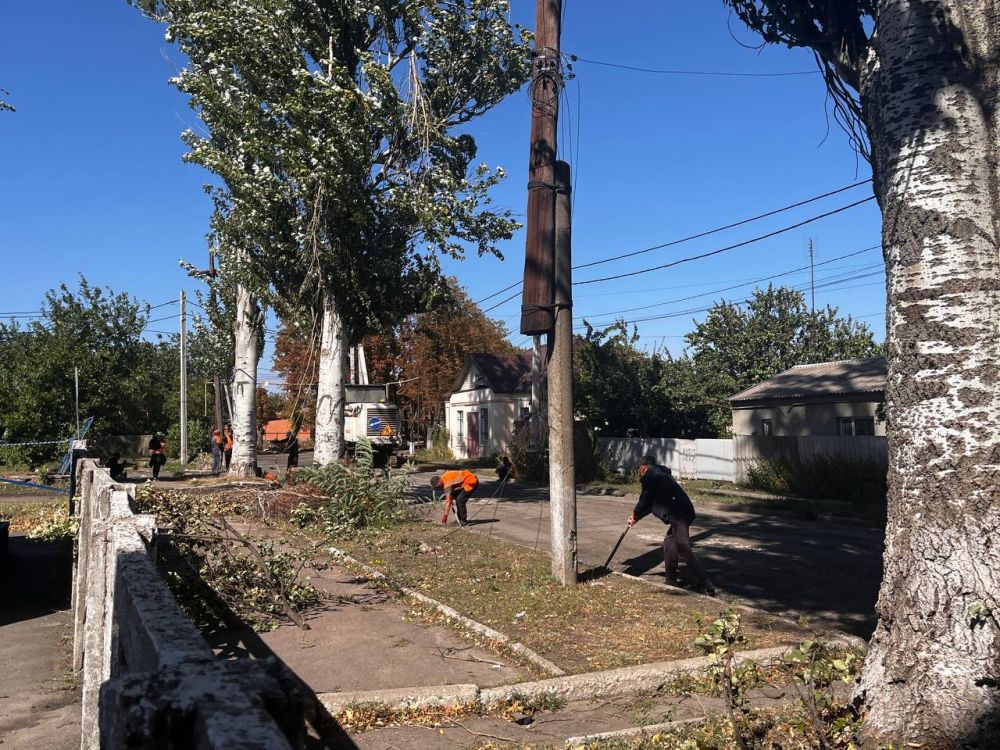 ����������� ��� "������� �������" ���������� ������� ������ ����� � ���������