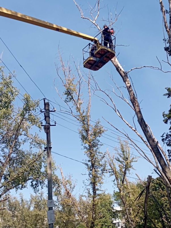 ������� ������: �������, 16 ��������, ������ ��� ��� "����������� �������� ������������ ������ �.�������" ������� ������ �� �����, ������������ � ������� �������� �� ���������� ���������� ���� � 56 �� ����� 50-� ����������� �������