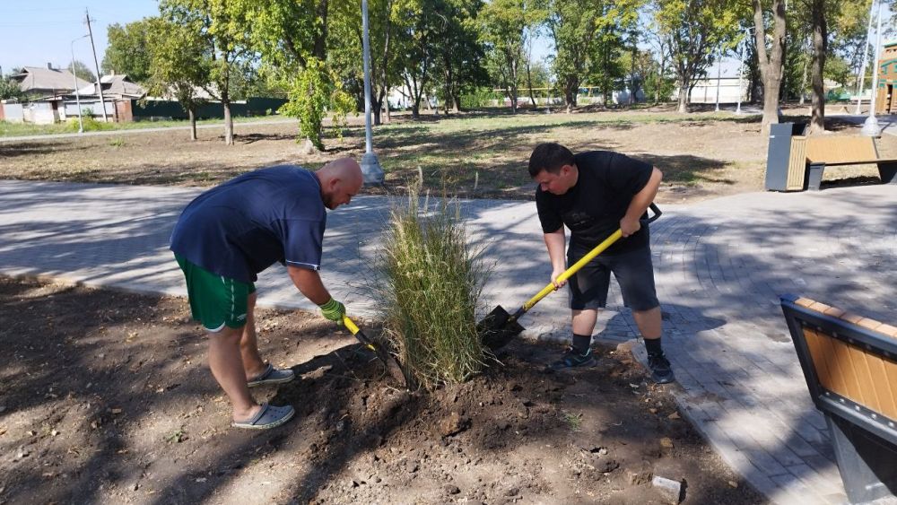 ������� ����������: ������-��� ������������ ������� �������� ������� ��� ���������� �������������� ���������� ������ ������