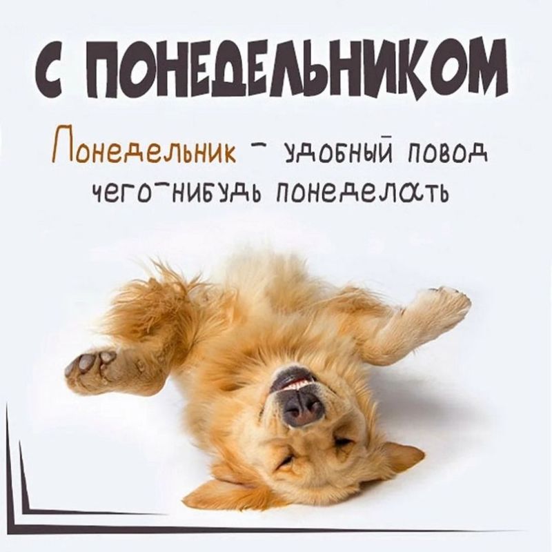 ������� �����. ��������� ���������-24