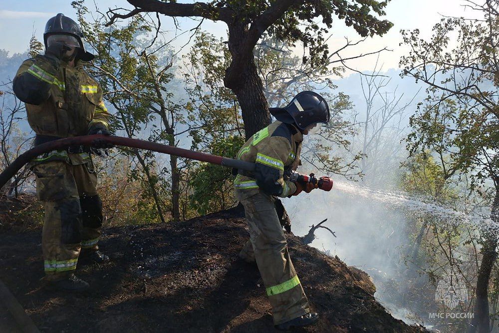 ������� �������: � ���������� ����������� ����� � ������ ������