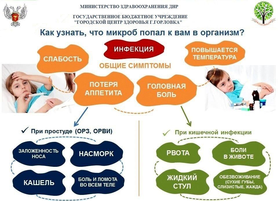 ������������ ������������ ����������� � �����