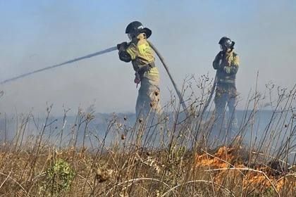 Для тушения пожаров в ДНР задействовали более 190 единиц техники