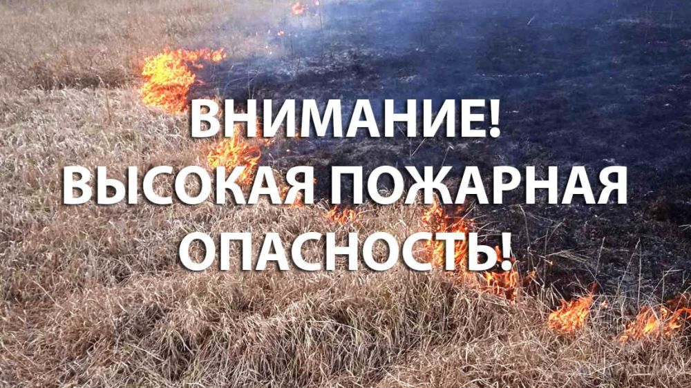����� �����: � ��� ��������� ������������ ���������������