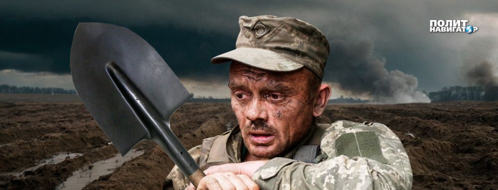 ������� ����: ������ �������� ������� ���������� ���������� ��������������