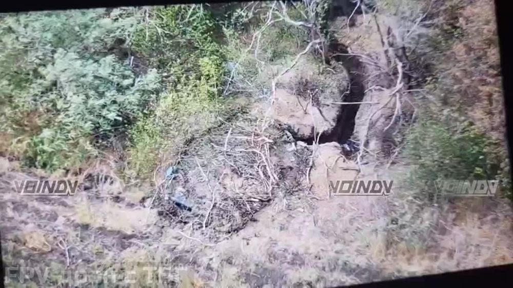 ����� �����: ������ ���������� �������� ����������� "������" � ���������� ����������-��������