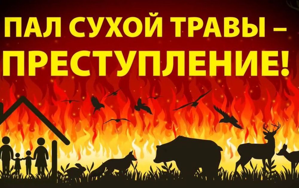 �������� ������������ � ������ �������� ������������ ��������