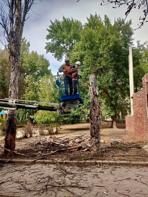 ������ ��������: ������� ���� ���������� ������������� ������ � ����� ������������