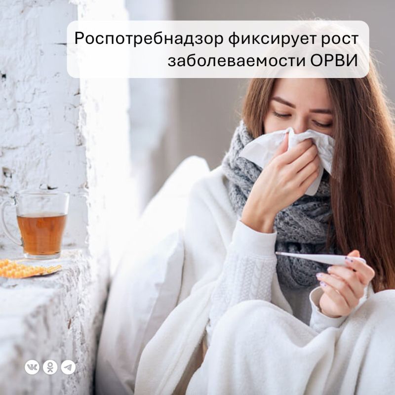 ������������ �������� ������������� ���� ������������ ������ � ����