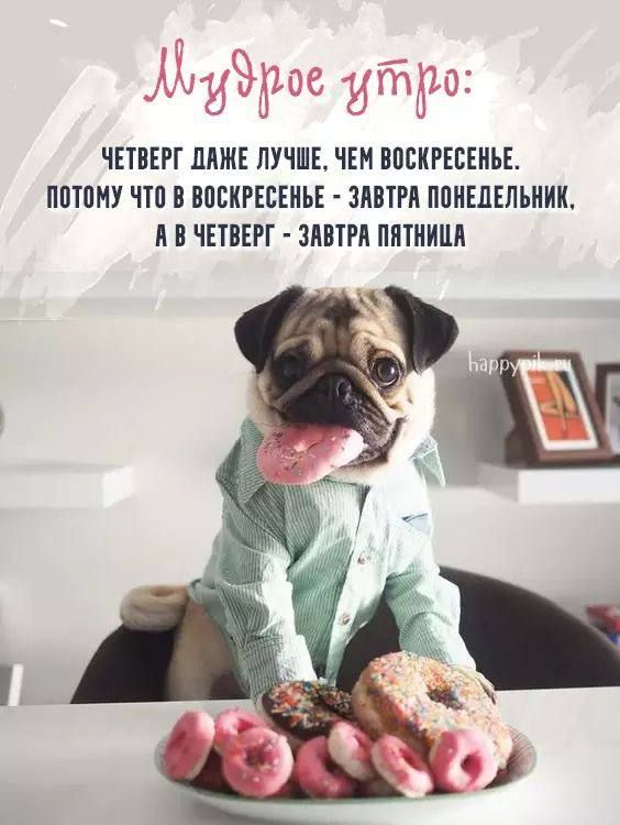������ ����!. �������� ������! ����������� ���� �������������