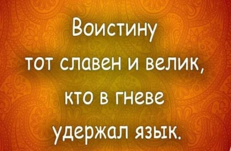 ������ �����. ��������� ���������-24