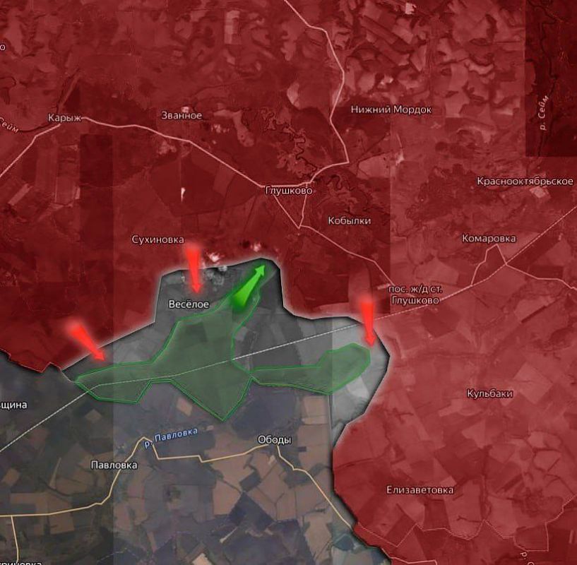 Юлия Витязева: Вражеские сводки. «На Курском направлении ВС РФ пытается разрезать группировку ВСУ и создать большой котел