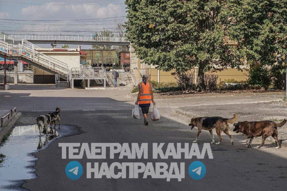 19.09.2024 ���� ����������� ���������