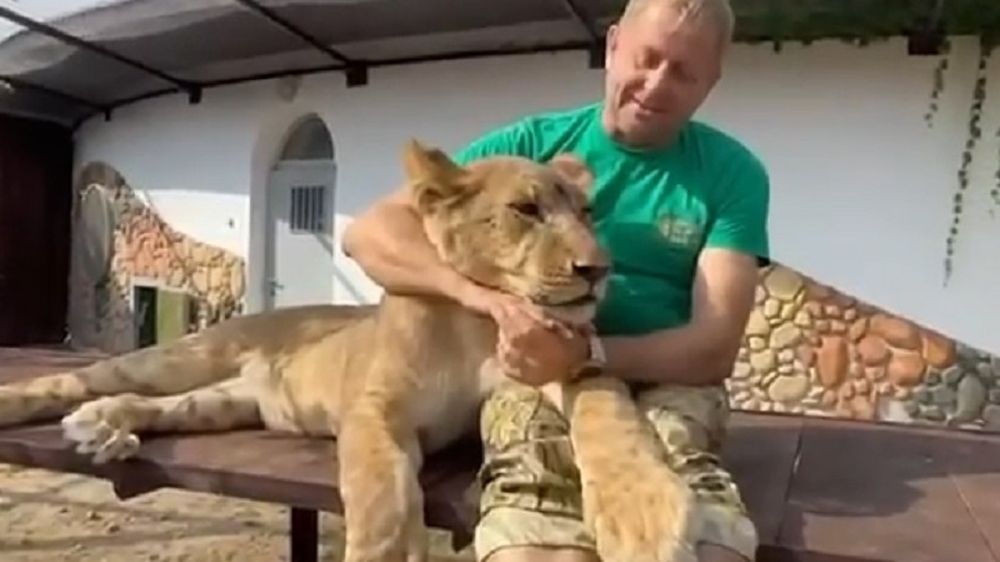 ��� ����, �� ����� �� �����: � �������� ����������, ��� ������ ������� � ������� ���� ������� � �����