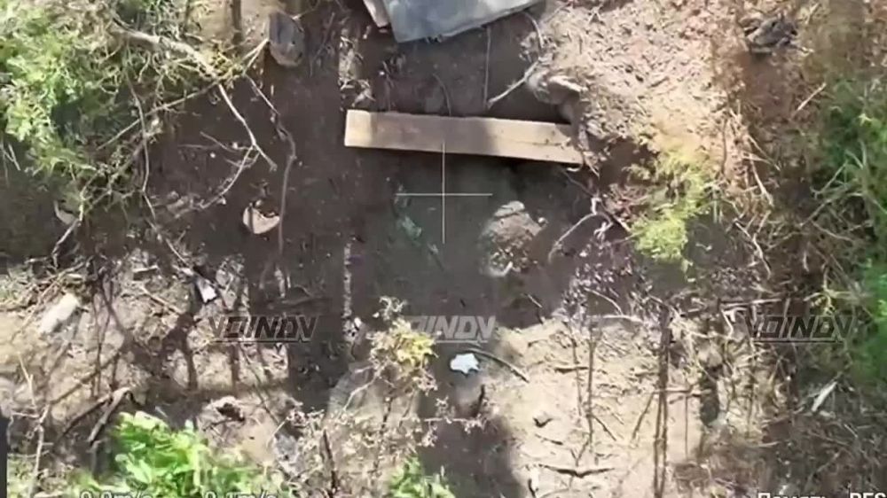 ��������� ���� �� ������� 29� ����� ���������� ����� ������� �������� ��� ��������� � �� ���������