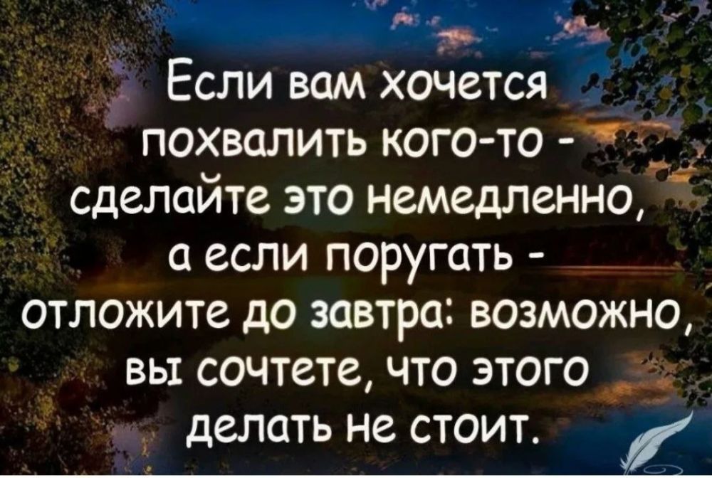 ������ �����. ��������� ���������-24