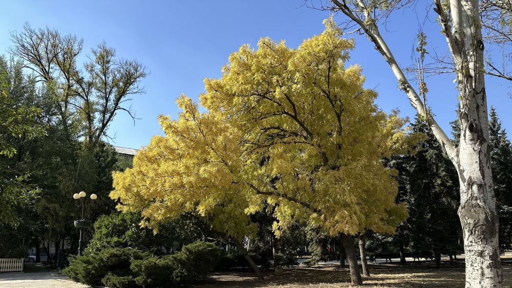 Донецкие заметки: образ будущего