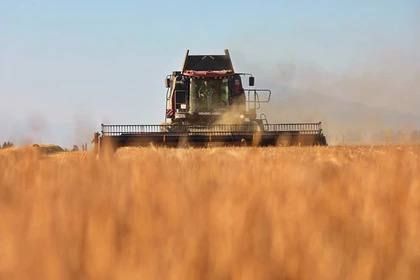 � ��� ������� ����� ��������� �������� 2024 ����