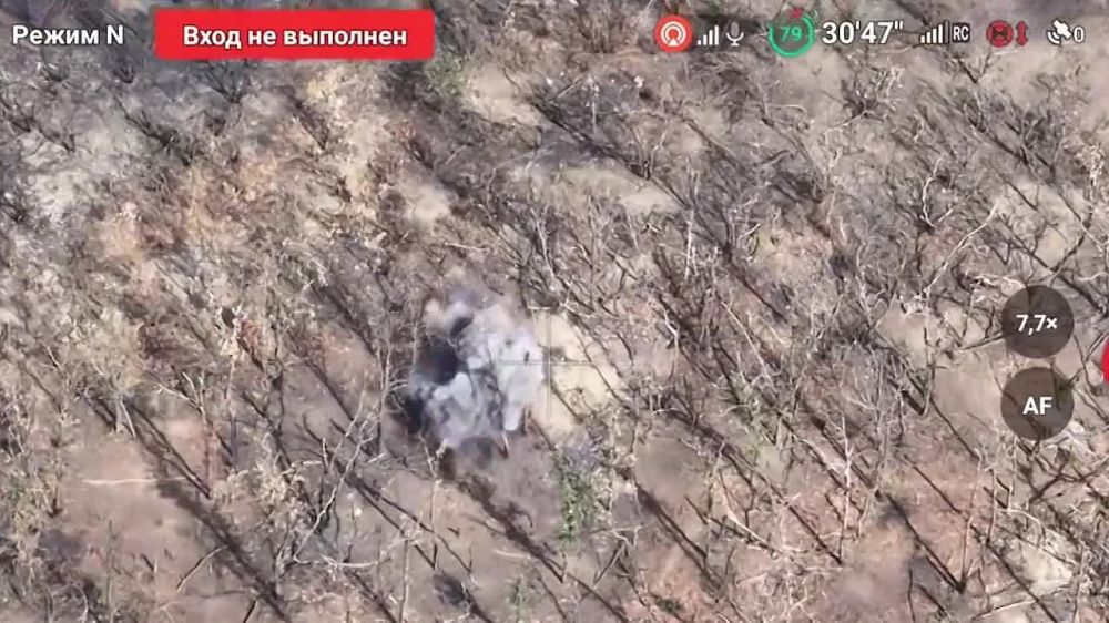 ������� ���������: ������ ����� � ���������� �����������