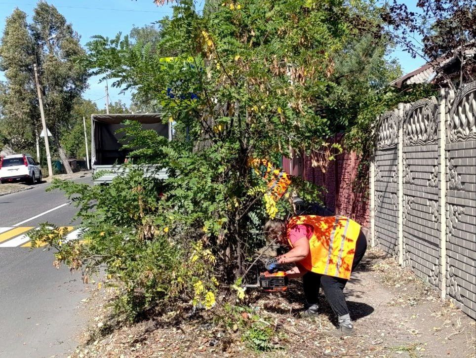 ���� ������: ��������� �������������� ���������� ����������� ����������� ������������� ������ � ����������� � ����������������� ��������� ��������������� ������ �� ���������������