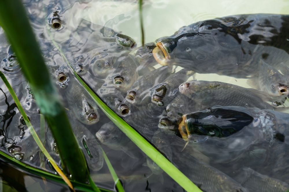 ������ �� ����� ������ � �������� �� ����������� �����: ������� 25 �������� � ����