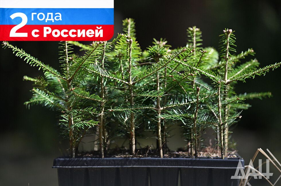 � �������� � ���������� �� ��� ���� ���� �������� ����� 1,6 ���. �������� ����