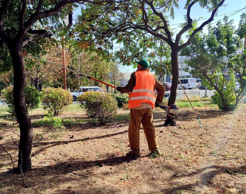 ���� ������: ���������� ��� ��� ����������� ������������� ������ ��������� �������� ������ �� ���������������