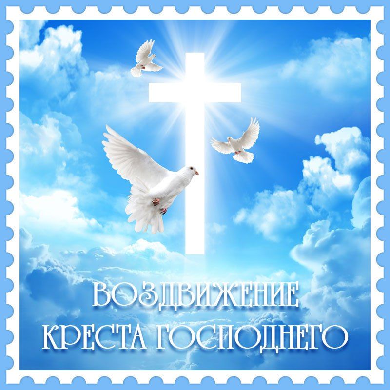 ����� �����: ����������� ������ ��������