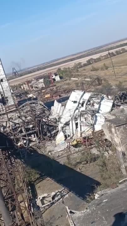 ����� �����: ���� �� ������� ����������� �������� ����������� ����