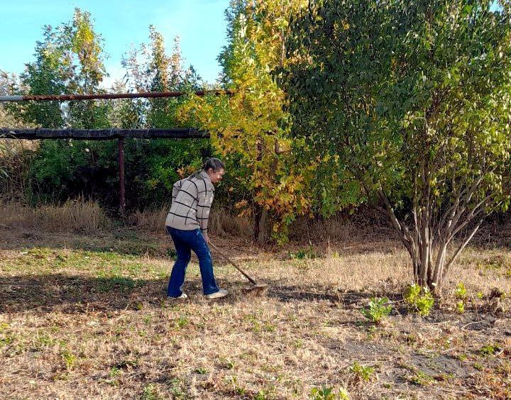 ���� ������: �������� � ���������� ��������������� ���������� ������� ���������� � �������� �� ��������������� � ������� ������� ��������� �� ����������� ����������