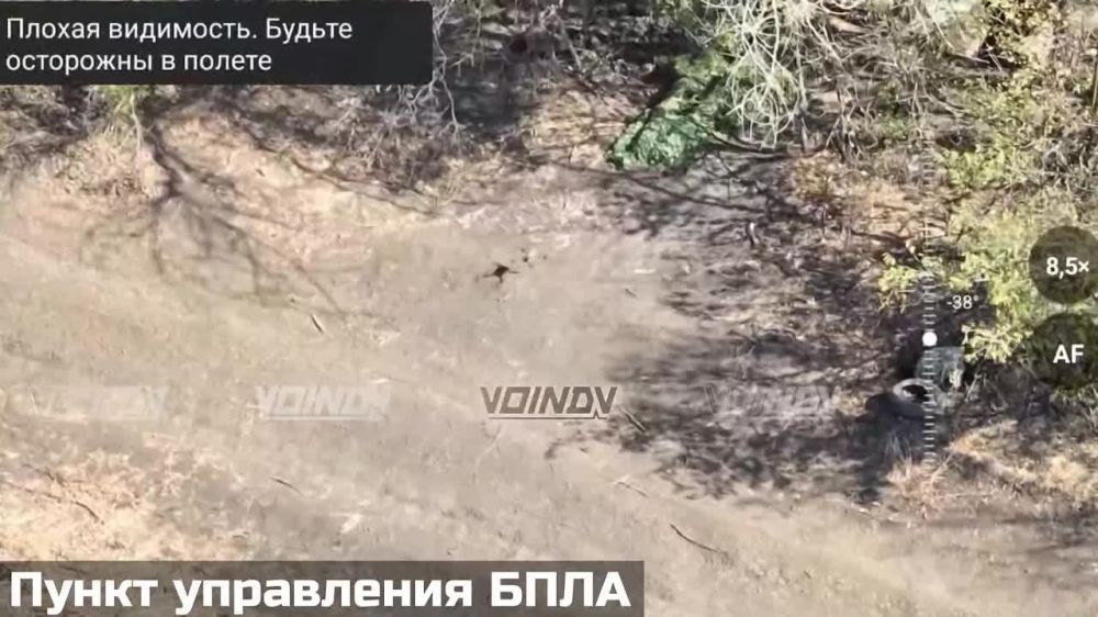 ����� �����: �������� ������ ������ ���������� 14 ������� �������� �� ����������� ����������� �� ����������� ����������� ������� ���������� � �� ������