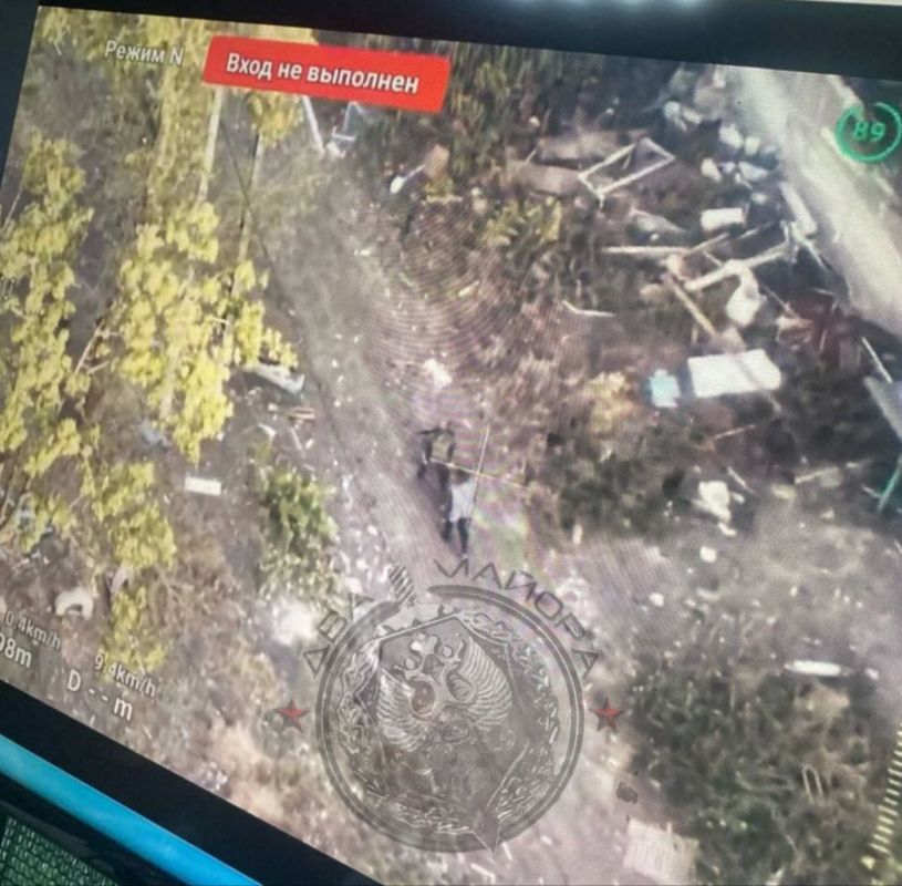 ����� �����: ���� ������� ���������� � �������� 36 ����� �����������