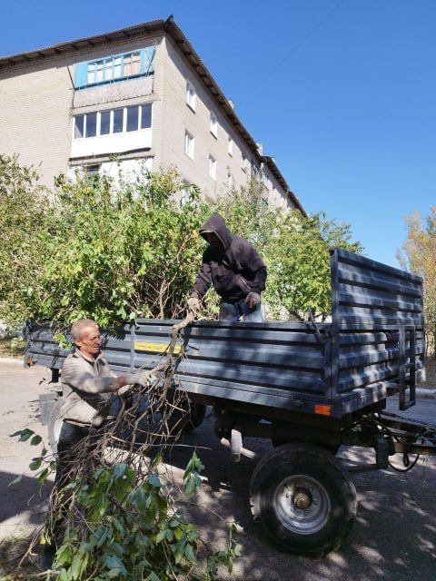 ����������� ��� ���� �6� ������ ���������� 1 ������� ����������� ������: