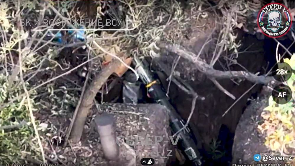 ����� �����: �������� ������ ��� �������� ������� ���������� ����� ����������� � ���������� � ������ ����������