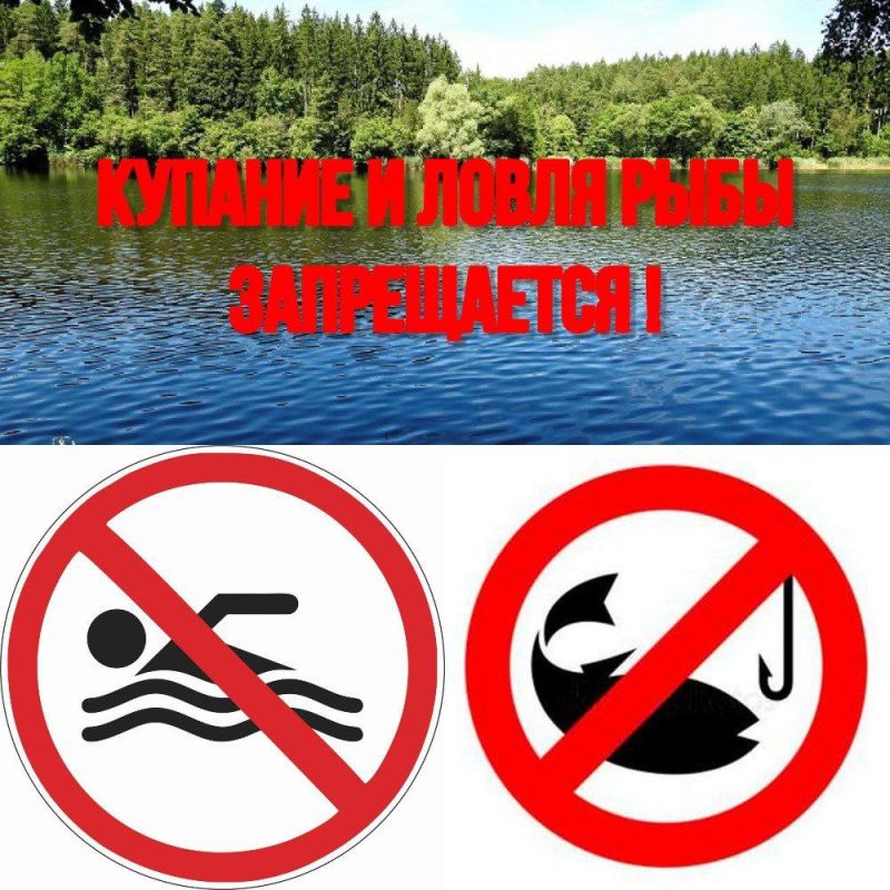 ���� ������: �������� � ������ ���� ���������