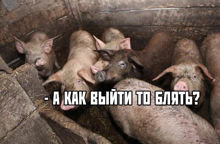 �� ��������� � ������� ��� �������