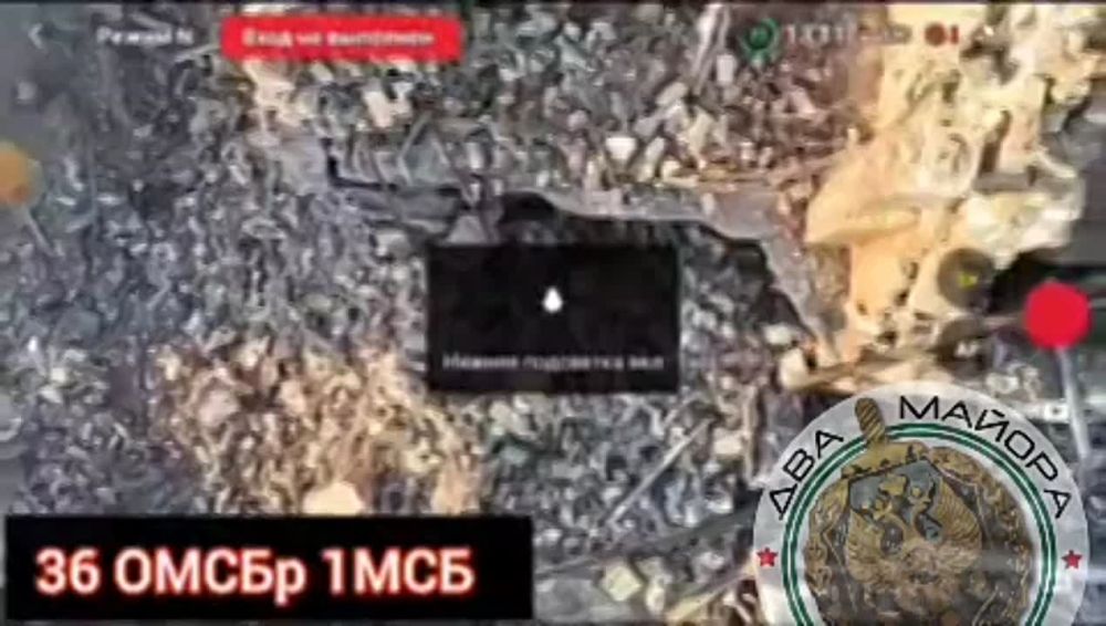 ��������� �������: �������, ����� ������. ��� 1��� ����� ������ � �������, �������� ��������� � ��� 1��� 36-� ����� 29-� �����"