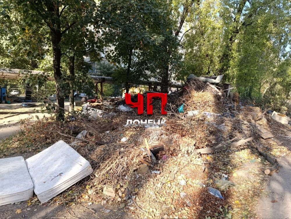 ������ ����� 17 ���� �� ��������� ��������� � �������